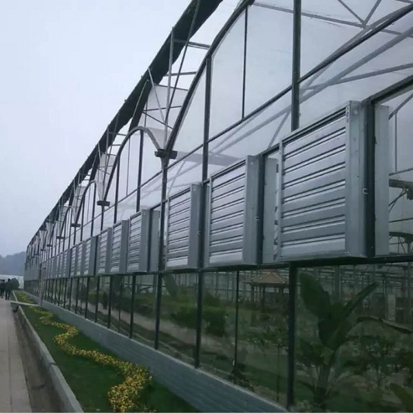 铁皮负压风机案例